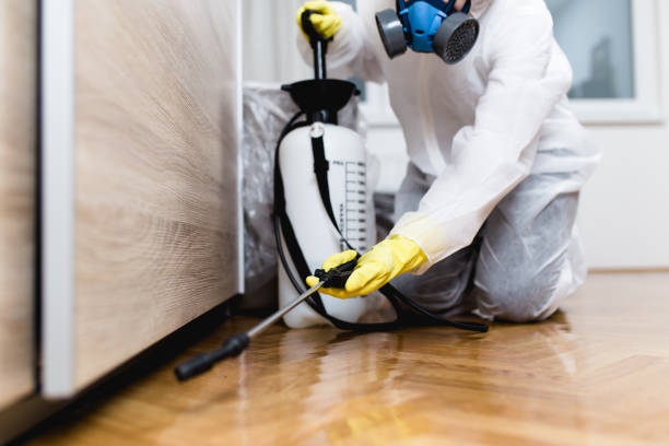 Best Best Pest Control Companies  in Lucas, TX