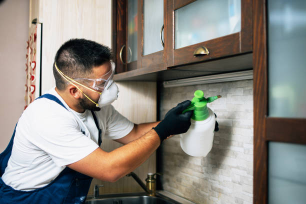 Best Emergency Pest Control  in Lucas, TX