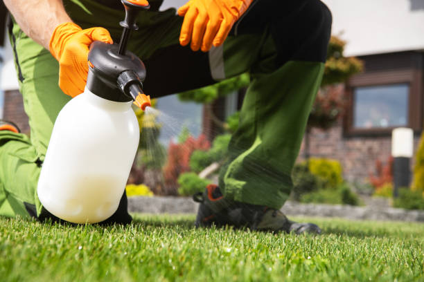 Best Affordable Pest Control Services  in Lucas, TX