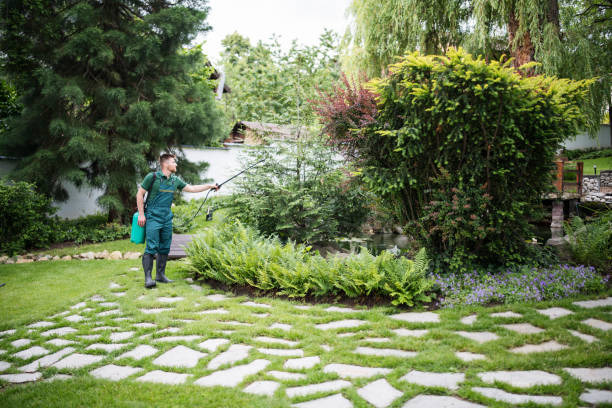 Best Commercial Pest Control Services  in Lucas, TX