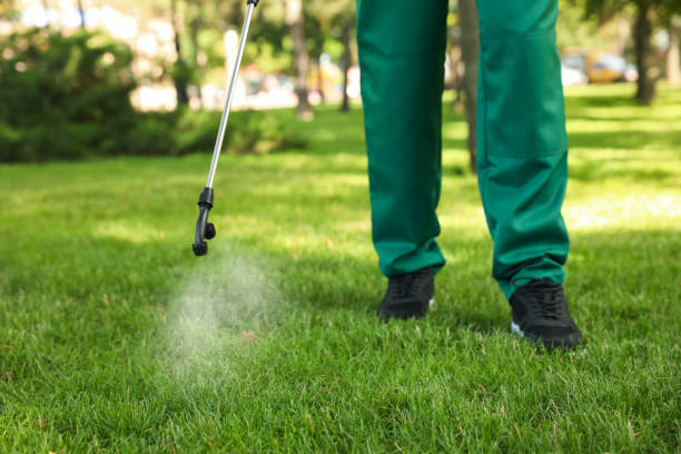 Best Flea Control Services  in Lucas, TX