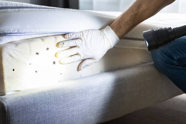 Best Exterminator Services  in Lucas, TX