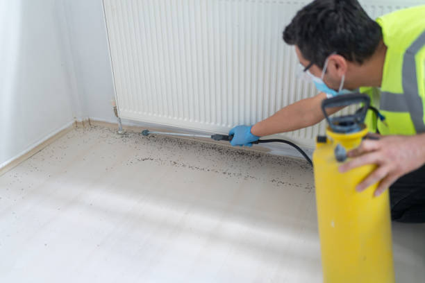 Best Termite Control Services  in Lucas, TX