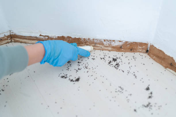 Best Wildlife Control Services  in Lucas, TX