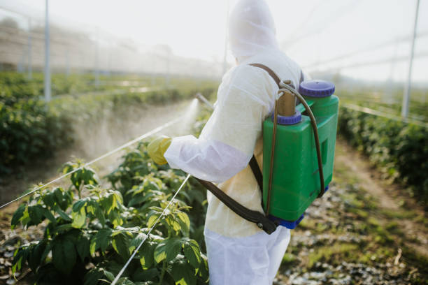 Best Flea Control Services  in Lucas, TX